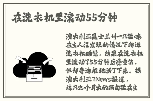 性感女医生